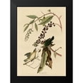 thumbnail image 2 of Vintage Apple Collection 11x14 Black Modern Framed Museum Art Print Titled - Worm Eating Warbler, 2 of 5