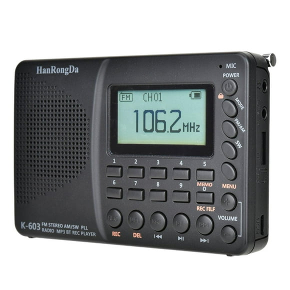 Portable Blue Digital Radio AM FM SW Support TF Card for Phones Computer Home Use Travel