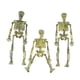 thumbnail image 1 of ER Conjunto de 3 accesorios de terror de casa encantada esqueleto de Halloween esqueleto o oso de fresa Electrónica, 1 of 4