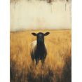 thumbnail image 1 of Qisvanset 12x16 Inch Golden Field Black Sheep Canvas Wall Art, Moody Farm Animal Modern Home Office Decor, 1 of 8
