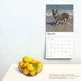 thumbnail image 5 of Australian Cattle Dogs 2025 12 X 24 Inch Monthly Square Wall, 5 of 9