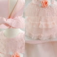 thumbnail image 6 of NAISIBABY Girls Flower Dress, Mesh Cute Embroidered Glitter Tutu Tulle Kids Wedding Party Pageant Princess Dress Pink 4T, 6 of 6