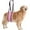 Pink, variant on UOSIA Dog Lift Harness Medium - Hind Leg Support Sling with Hip Padding