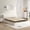 2 Inch, variant on 5 Inch Box Spring for Queen Bed Low Profile Queen Box Spring, Queen Size Bed Base 3500 lbs Black Heavy Duty Metal Mattress Foundation with BoxSpring Cover, No Squeaky, Easy Assembly
