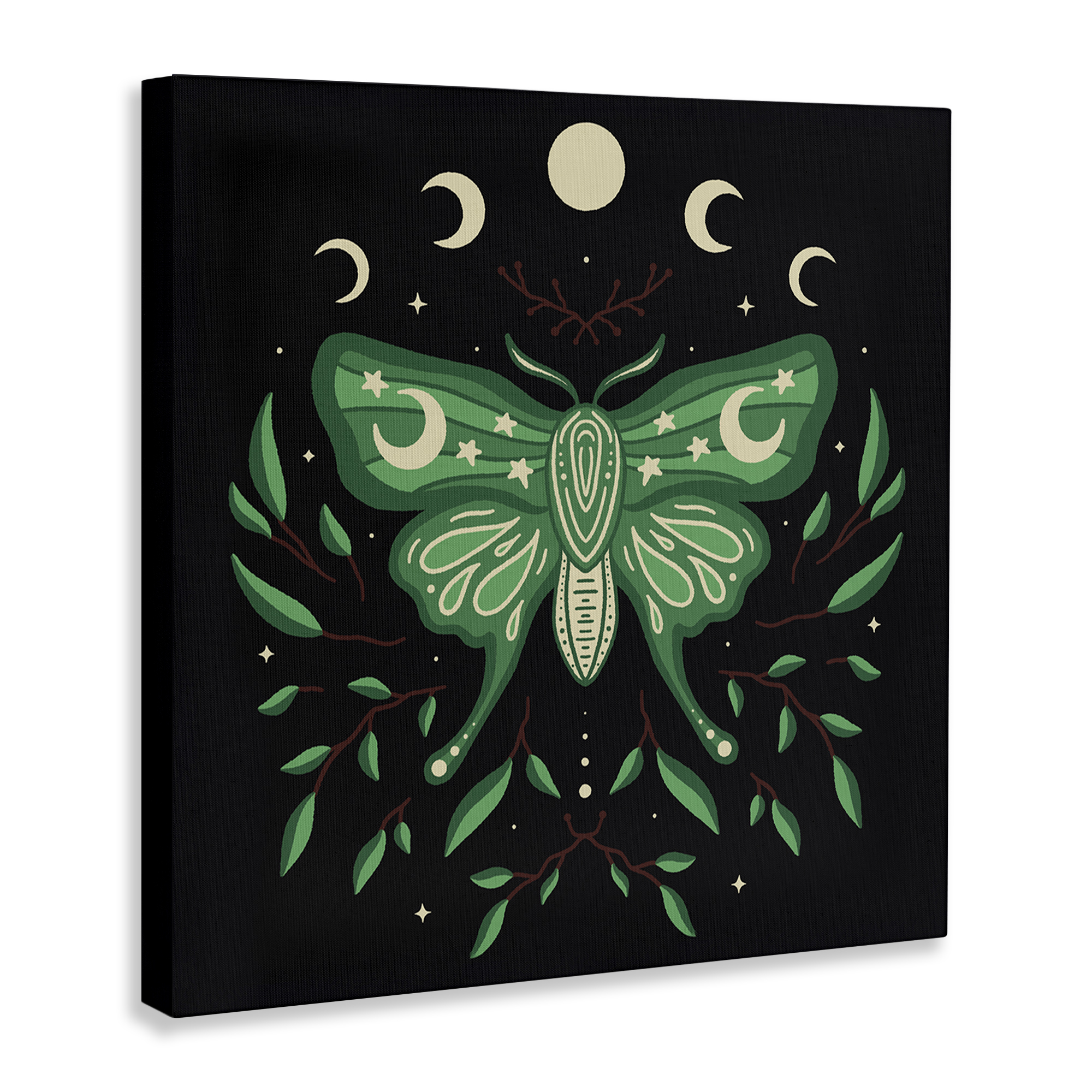 Stupell Industries Celestial Moth & Botanicals Animals Painting Wrapped Canvas Art Print Wall Art, 36 x 36