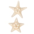 thumbnail image 4 of 2 Pcs Décorations Étoile de Mer Naturelle DIY Décoration Étoile de Mer Aquarium Portable, 4 of 8