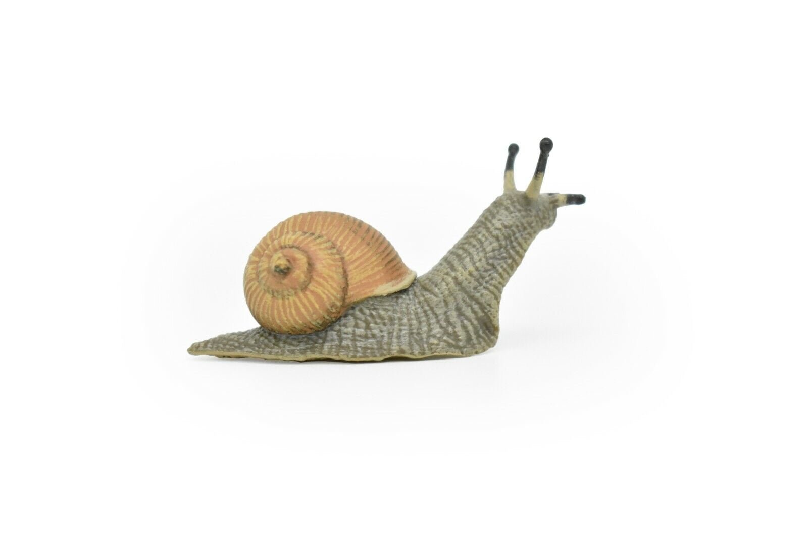Snail Toy Animal, Mollusks, Bug, Land, Realistic Rubber Replica, Hand
