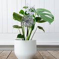 thumbnail image 3 of Fairy Dandelion Garden Sculpture Simulation Plant Fairy Dancing Garden Decor Metal Art Statue Patio Lawn Yard Decoration, 3 of 5