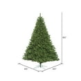 thumbnail image 3 of Vickerman 7.5' Oregon Fir Artificial Christmas Tree, Wide Angle Single Mold Warm White LED Lights, 3 of 5