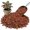 Red, variant on Red Lava Rocks for Plants, 350g Succulent Potting Soil Amendments, Decorative Lava Rocks for Fire Pit, Volcanic Gravel for Aquarium, Natural Pebbles Pumice for Cactus, Vase, Top Dressing