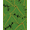 Green, Pattern 4, variant on ODIKA 4x6 Machine Washable Non-Slip Area Rug, Lush Rainforest Botanical Foliage High Traffic Rug, Green, 666498