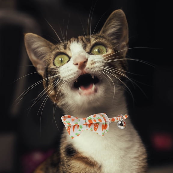 STRANDCHIC White Cat Collar with Bell and Bowknot, Adjustable Cloth Choker for Cats and Small Pets Neck Decoration