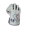 thumbnail image 2 of GM Mana 909 Wicket Keeping Gloves 2024, 2 of 4