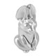 thumbnail image 2 of Escultura de conejo, estatua de conejo de resina suave, figura de conejo decorativa exquisita para estantería de escritorio ZZ0769 2 Plata, 2 of 10