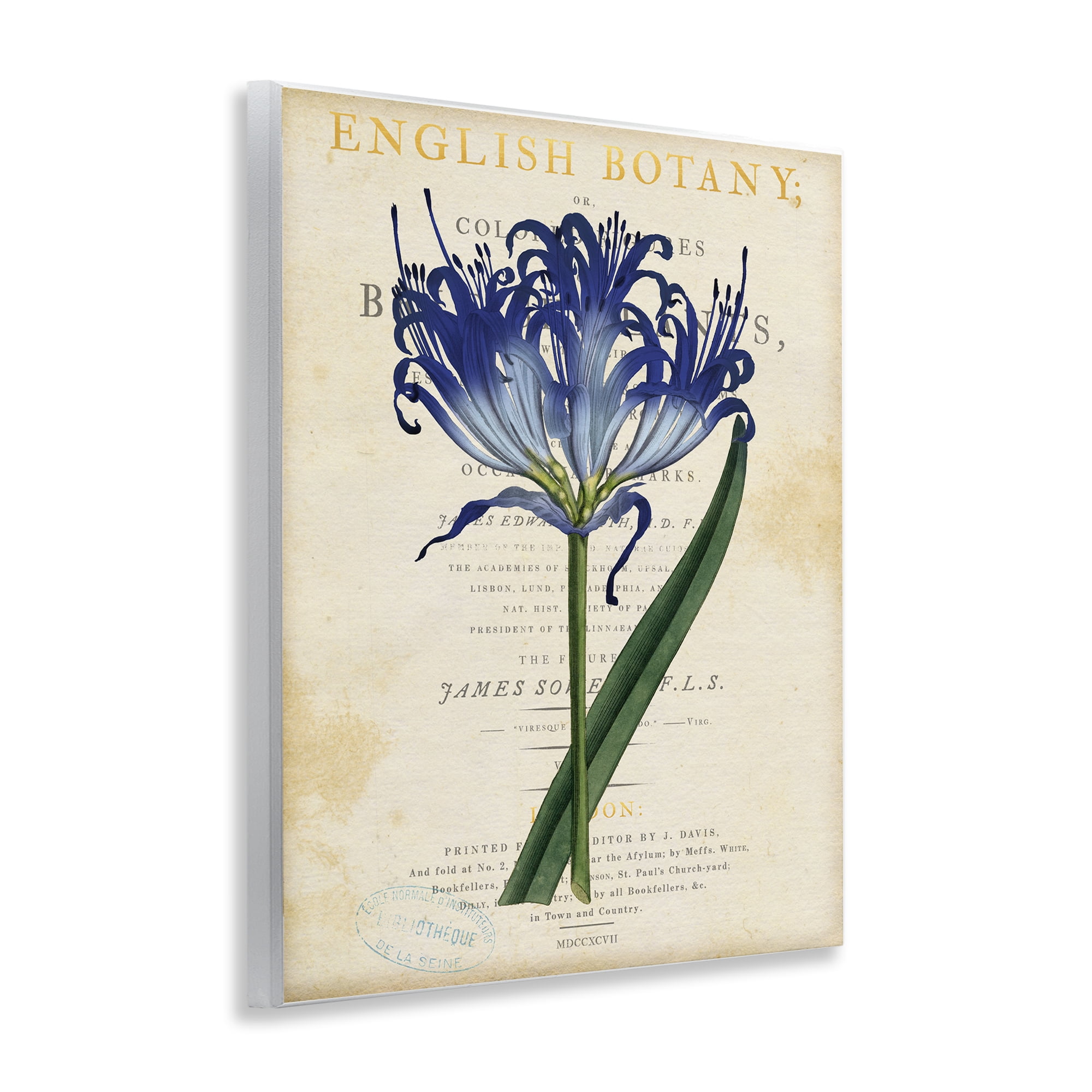 Stupell Industries English Botany Blue Floral Wall Plaque Art, design by Susan Arnot