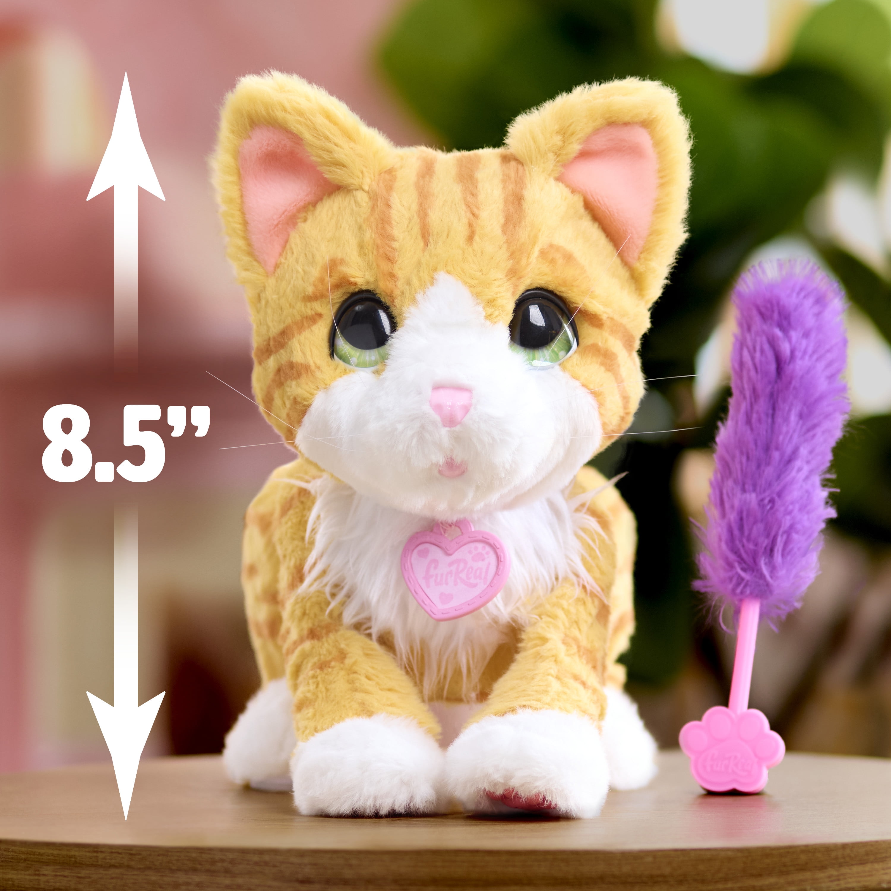 furReal Bella the Biscuit-Making Kitty, Interactive Cat toy, 10 inch Cat, Boys and Girls Ages 4 up