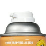 Bengal Foaming Wasp & Hornet Killer