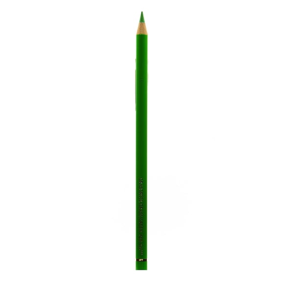 Polychromos Artist Colored Pencils (Each) grass green, 166 (pack of 12)