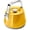 Marigold, variant on Caraway 2 Quart Whistling Tea Kettle - Durable Stainless Steel Tea Pot - Fast Boiling, Stovetop Agnostic - Includes Pot Holder - Cream