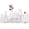 thumbnail image 1 of Juego de 10 jarrones pequeños de cristal con forma de flor Bud Vases QLOFEI, 1 of 6