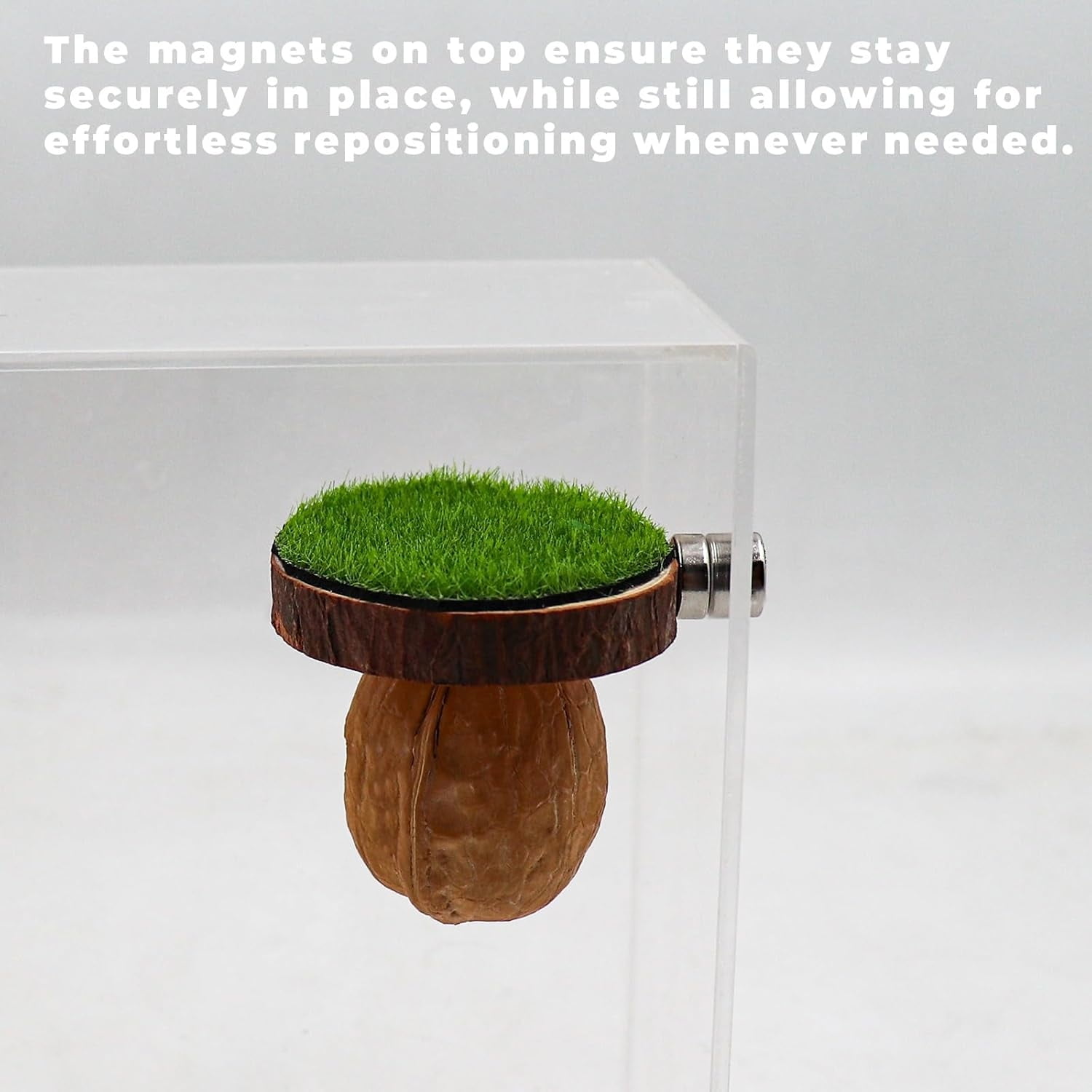 2 Pack Jumping Spider Enclosure Accessories, Magnetic Walnut Hide with Wooden Platform, Plastic Grass Topper, Spider Hideout with Moss for Terrariums