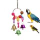 thumbnail image 3 of Campanas de loros Juguetes colgantes Juguetes coloridos para mascotas Pájaros Juguetes Campanas de loros Hugtrwg Para estrenar, 3 of 5