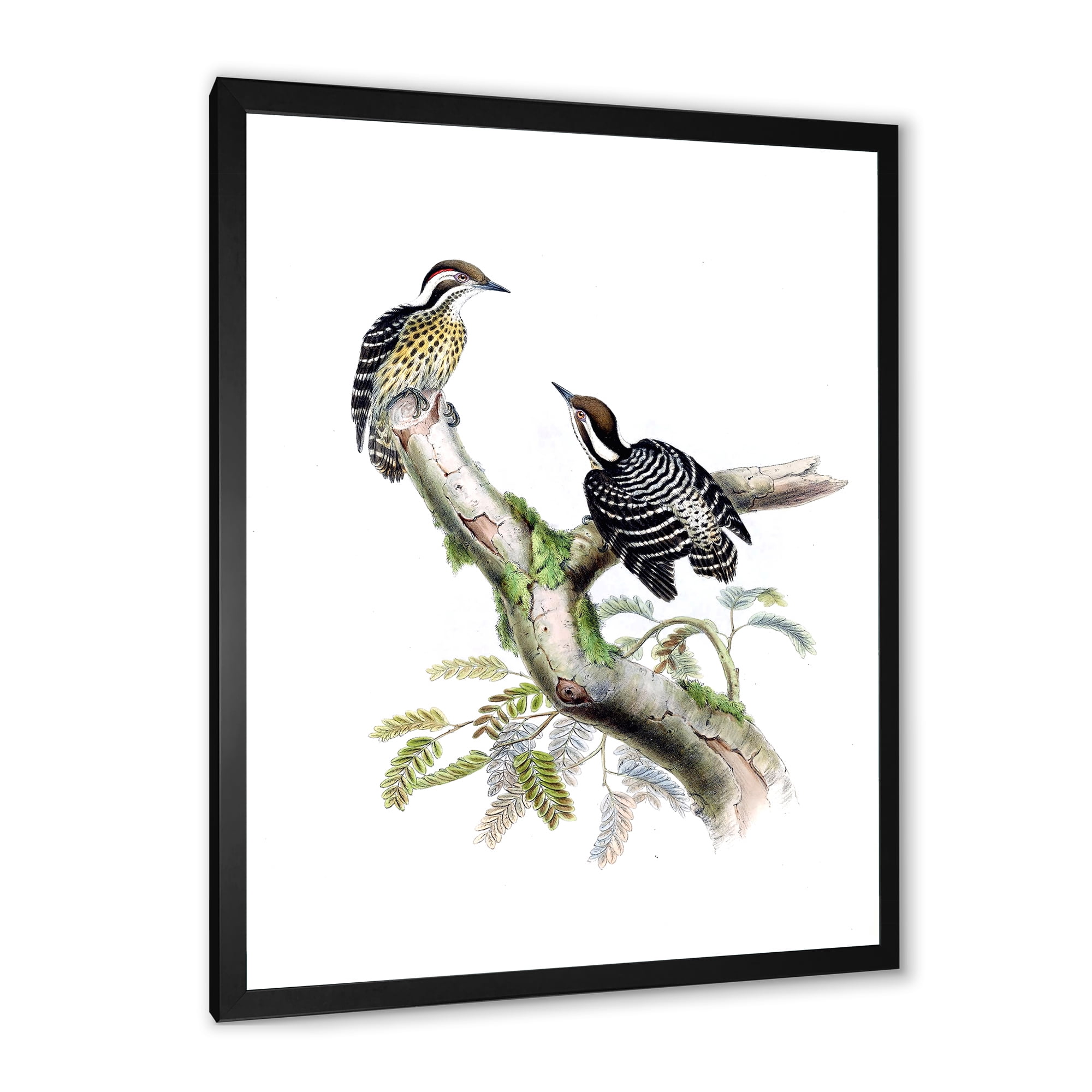 Designart 'Ancient Birds In The Wild VIII' Traditional Framed Art Print