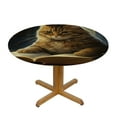 thumbnail image 3 of JEUXUS Funny Cat Sleeping Bookshelf Cute Table Cloth Cover Round Tablecloth  for Indoor Outdoor Kitchen Party Home Decor, 3 of 7