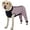 Pink, variant on Kuoser Dog Recovery Suit for Back Legs,Soft Dog Surgery Suit with Sleeves to Stop Licking, Green, L