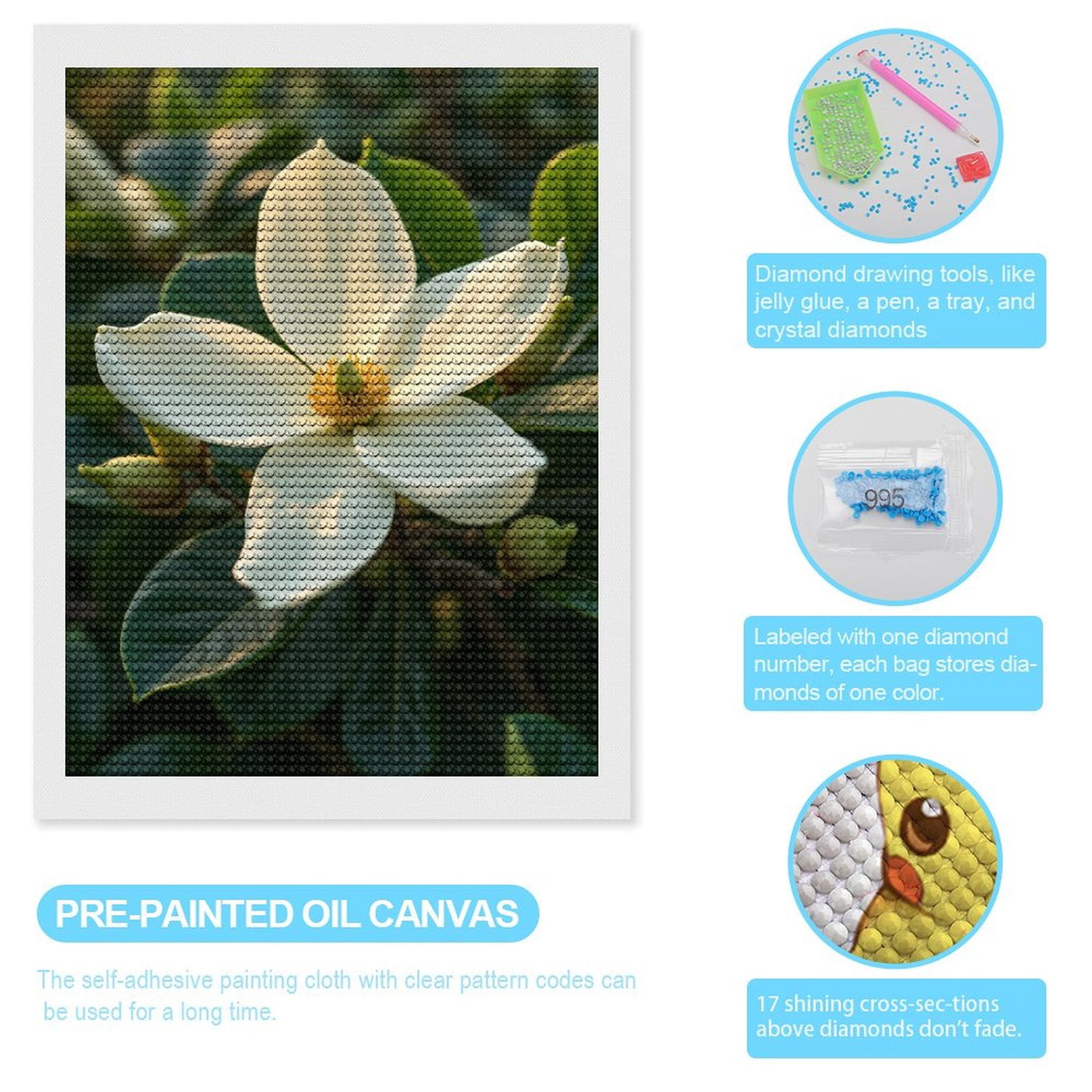 Diamond Art Kits for Adults - Southern Magnolia Blossom Sunlit 5d Diamond Painting for Adults, Diamond Art for Adults Beginners, Frameless Diamond Painting Kits for Adults for Home Wall Decor