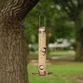 thumbnail image 3 of Perky-Pet 2-in-1 Wild Bird Feeder, 3 of 9