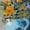 Unframed, variant on Art.com Orange Daisies In Blue Vase Art Print by Jane Slivka, 16" x 16"