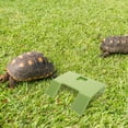 thumbnail image 1 of FONDOTIN Green Plastic Turtle Tank Ramp Turtle Tank Platform 1Pcs, 1 of 8