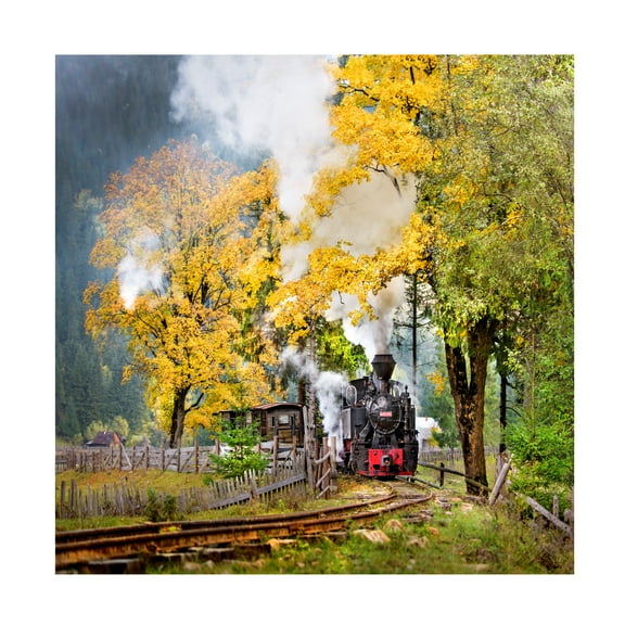 Sorin Onisor 'A Sort Of Fairy Tale' Canvas Art