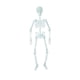 thumbnail image 1 of Precio sorpresa!Esqueleto con luz de 150/90/30cm, accesorios para eventos de Halloween, Bar, decoraciones de Casa Encantada, esqueleto fluorescente, 1 of 4