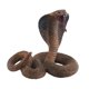 thumbnail image 5 of Modelo de juguete de serpiente Hugo simulación Marrón claro, 5 of 10