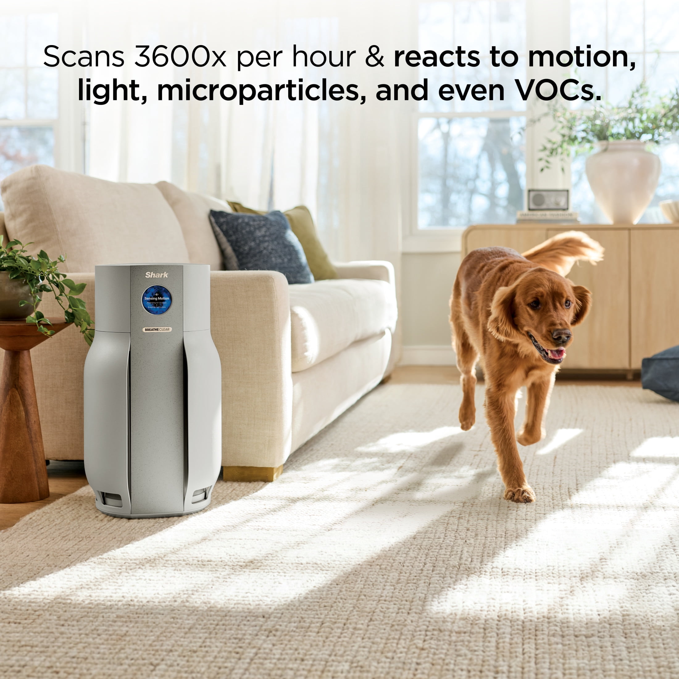 Shark BreatheClear MAX with NeverChange Air Purifier, 1,650 Sq. Ft., HEPA-Exceeding in Every Mode for Dust, Dander, Allergens, Smoke, VOCs and More, Zero Filter Changes, HP362 Dove