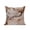 Brown, variant on Outdoor Pillows Waterproof, Marble Brown Bedding Throw Pillows with Insert for Couch Sofa Bed, Modern Abstract Ink Painting Luxury 16x16 Inch Pillowcases Decorative Camping Patio Pillow Set of 1
