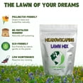 thumbnail image 4 of Earthwise Meadowscaping Alternative Lawn Seed Mix, 5 lb Native Blend for Low-Maintenance Lawns, Covers 10000 Sq ft, 4 of 9