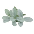 thumbnail image 3 of Hojas artificiales Simulación verde Hojas de Hojas de artificiales Plantas para en Jardín Material de bricolaje, 3 of 8
