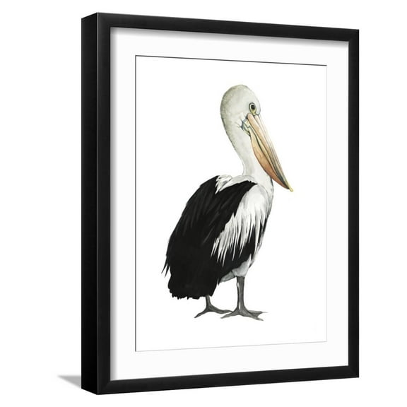Art.com Sea Bird IV Art Print by Grace Popp, Black Frame Wall Art, 17" x 21"