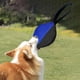 thumbnail image 1 of Pelota de arrastre para perros, juguetes interactivos de enriquecimiento, resistente al desgarro, para entrenamiento de mordeduras, juguete para Negro Azul, 1 of 10
