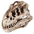thumbnail image 1 of Crâne de dinosaure en résine, squelette animal, ornements, accessoires, collection Halloween, décoration artisanale, 1 of 4