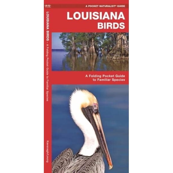 Pocket Naturalist Guides: Louisiana Birds: A Folding Pocket Guide to Familiar Species (Other)