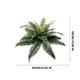 thumbnail image 3 of Pared de helechos artificiales con hojas persas grandes simuladas | Decoración de hojas de helecho de Boston de imitación para arreglos florales verdes, 3 of 6