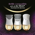 thumbnail image 3 of Air Wick Vibrant Plug-In Scented Oil Air Freshener Warmer Refills, Lavender and Waterlily, 2 Count, 3 of 9