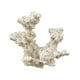 thumbnail image 2 of Anémona Decorativa para Acuario, Nido, Figura Decorativa para Acuario, Refugio para Peces, Cueva de Cría, Escondite para Cría en Acuario Estilo C, 2 of 7