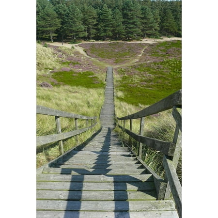LAMINATED POSTER Wood Stairs Stairs Finish Downhill Descend Poster Print 24 x
