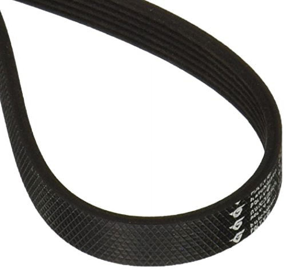 Bissell Pump Flat Proheat 1699 1698 8904 8804 7901 Belt - Walmart.com