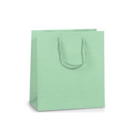 2 Unit Aqua Matte Jewel Gift Bags Mini Pk 6-1/2x3-1/2x6-1/2